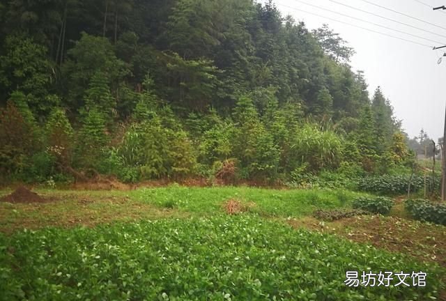 出梅了,几天不下雨出梅