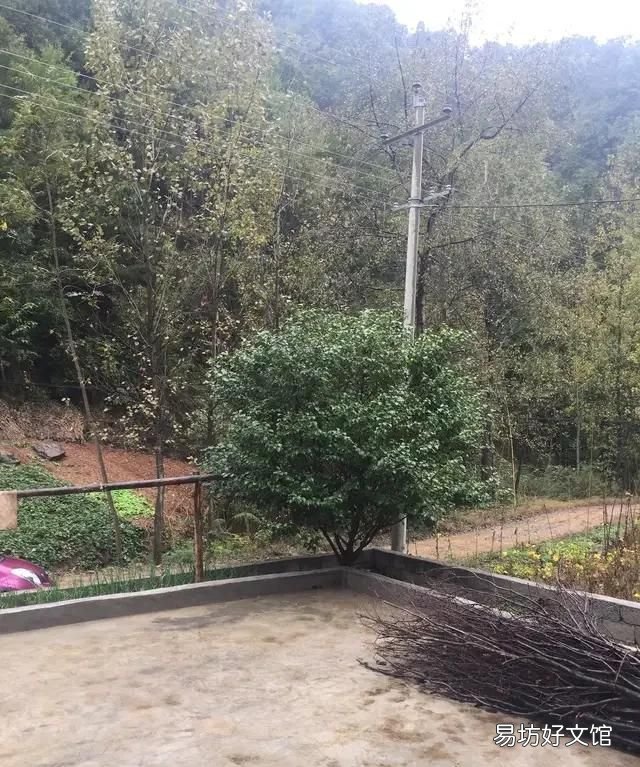 出梅了,几天不下雨出梅