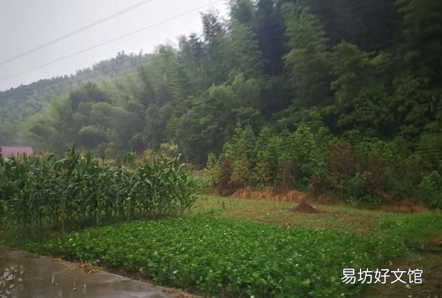 出梅了,几天不下雨出梅