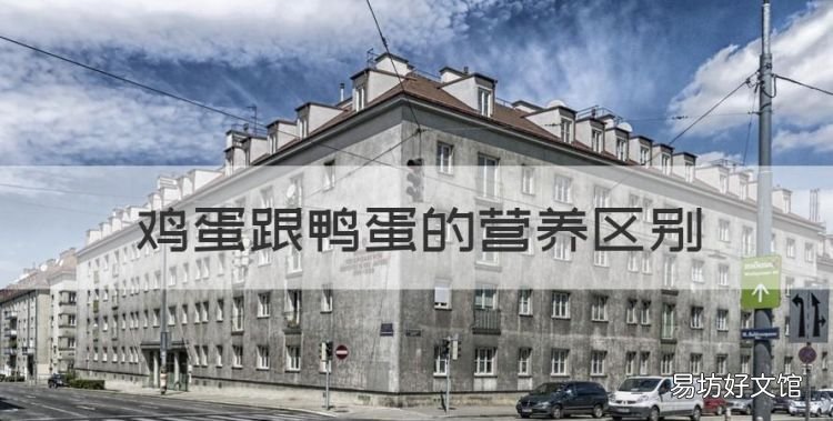 鸡蛋跟鸭蛋的营养区别,鸭蛋和鸡蛋的区别在哪里