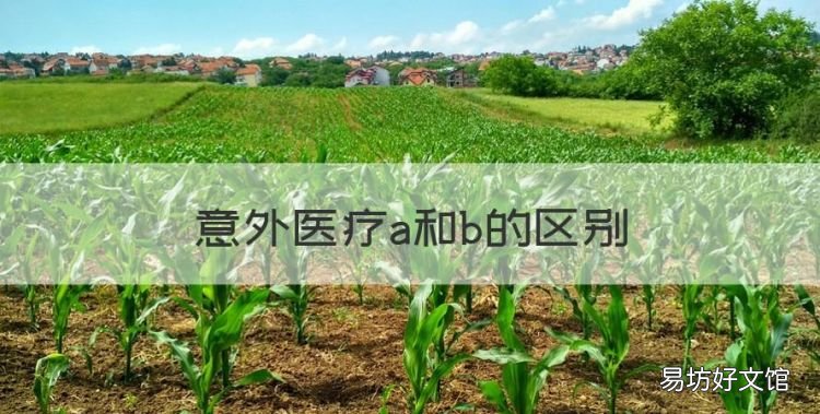意外医疗a和b的区别