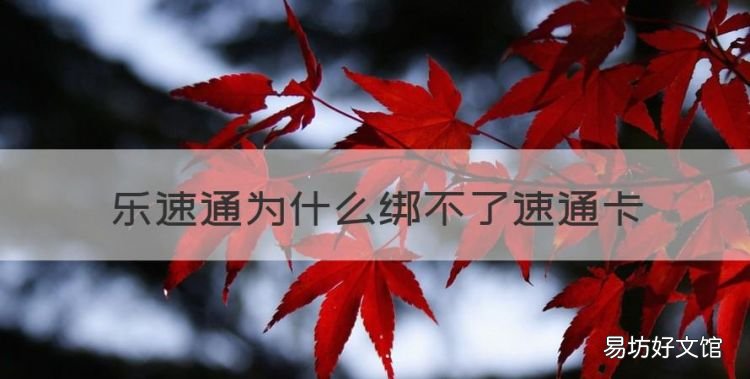 乐速通记账卡需要充值吗,乐速通为什么绑不了速通卡