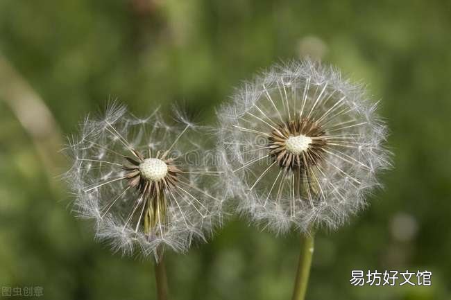 一览五大厉害逻辑思维特征 逻辑思维强的五种表现形式
