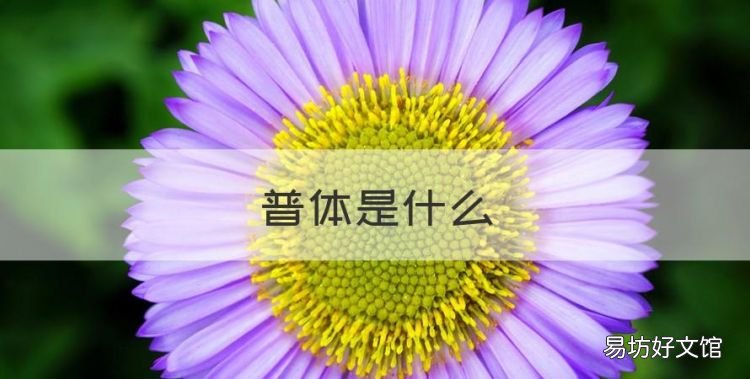 普体是什么,普体生可以自由选择大学