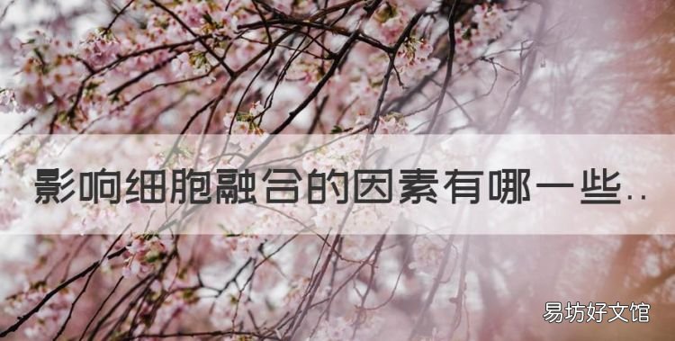 影响PEG融合的因素有哪些,影响细胞融合的因素有哪些
