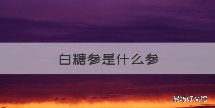 白糖参是什么参
