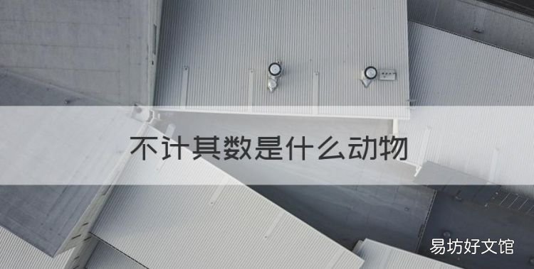 不计其数是什么动物,十二生肖里成群结队的动物是什么?