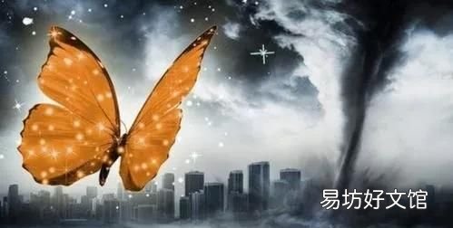 什么是蝴蝶效应