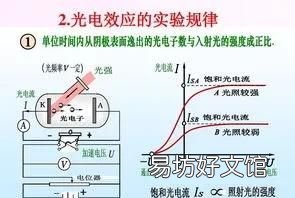 什么是蝴蝶效应