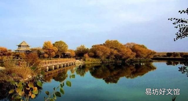 胡杨林在哪 新疆四大胡杨林
