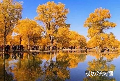 胡杨林在哪 新疆四大胡杨林