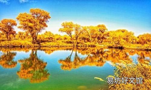 胡杨林在哪 新疆四大胡杨林