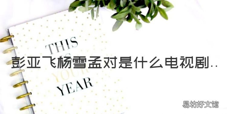 彭亚飞杨雪孟对是什么电视剧