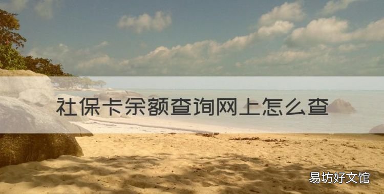 社保卡余额查询网上怎么查,社保卡网上可以查询余额吗