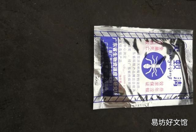 家里有蚂蚁怎么办? 家里有蚂蚁怎么能彻底消灭