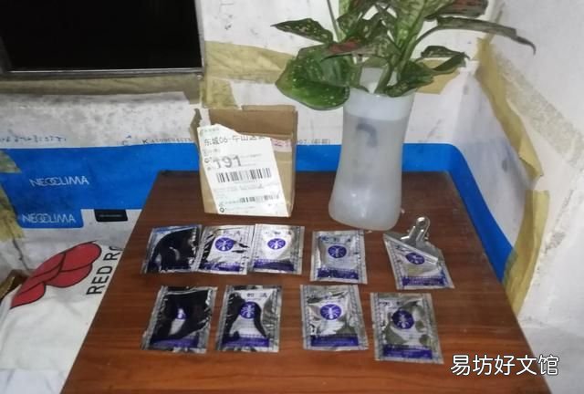 家里有蚂蚁怎么办? 家里有蚂蚁怎么能彻底消灭