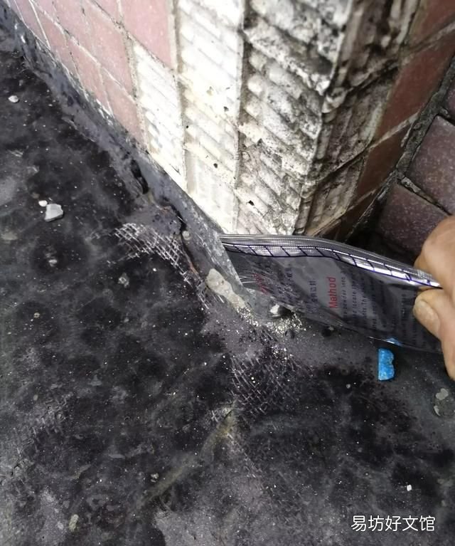 家里有蚂蚁怎么办? 家里有蚂蚁怎么能彻底消灭