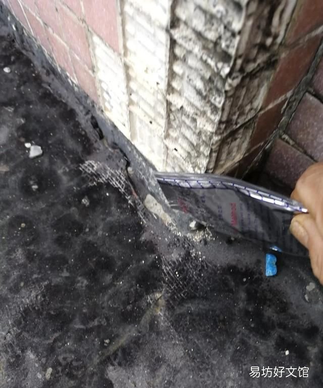 家里有蚂蚁怎么办? 家里有蚂蚁怎么能彻底消灭