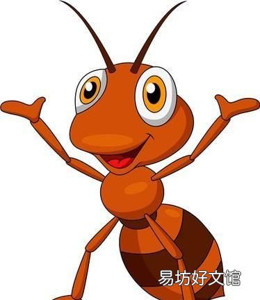 家里有蚂蚁怎么办? 家里有蚂蚁怎么能彻底消灭