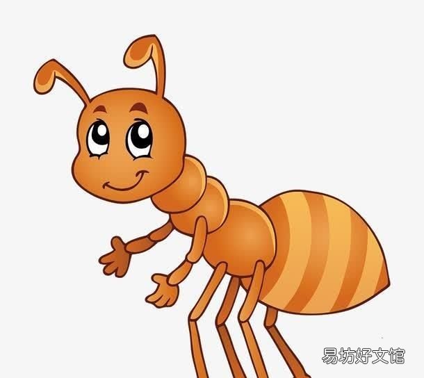 家里有蚂蚁怎么办? 家里有蚂蚁怎么能彻底消灭