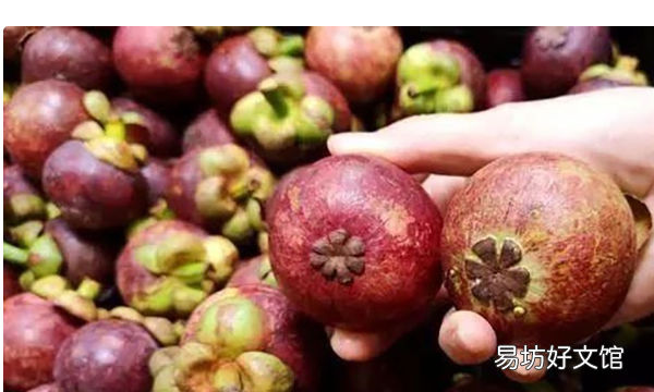 山竹怎么挑选才好吃又甜,山竹怎么挑 挑选山竹的方法