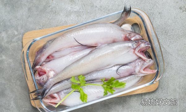 三文鱼和虹鳟鱼肉的区别，虹鳟鱼和三文鱼的区别哪一个贵