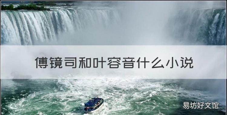傅镜司和叶容音什么小说,傅镜司叶容音的小说名字
