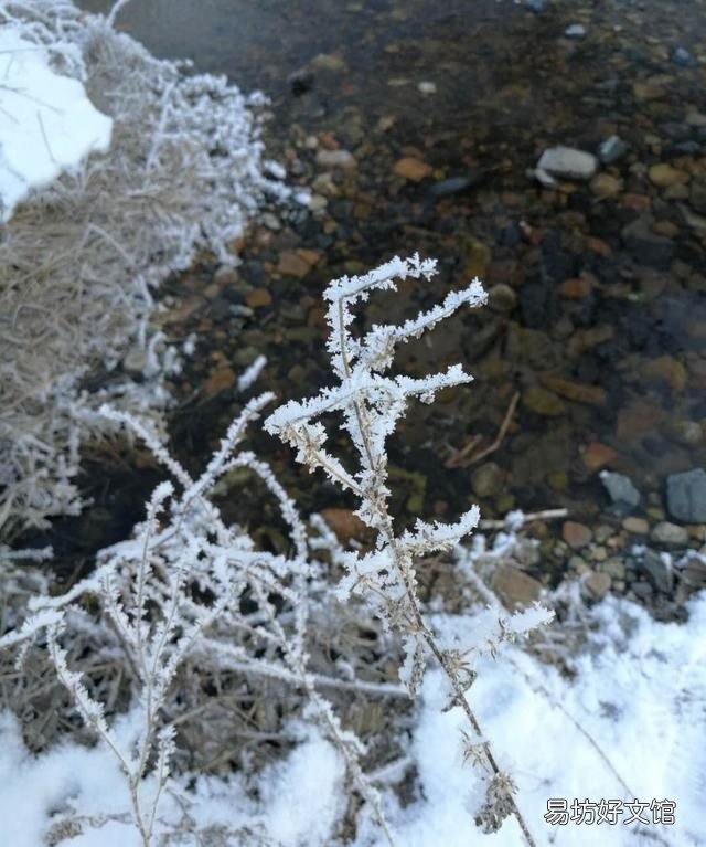 雾是怎么形成的,雾凇是怎样形成的呢