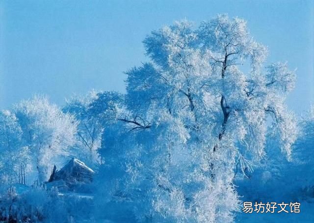 雾是怎么形成的,雾凇是怎样形成的呢