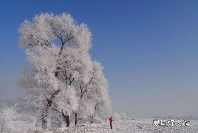 雾是怎么形成的,雾凇是怎样形成的呢