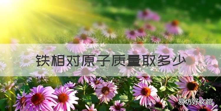 铁相对原子质量取多少,化学中钠的相对原子质量是多少
