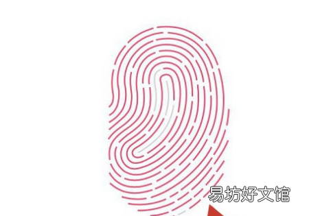 苹果手机iphone 如何设置指纹解锁