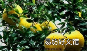 江津特产有哪些土特产
