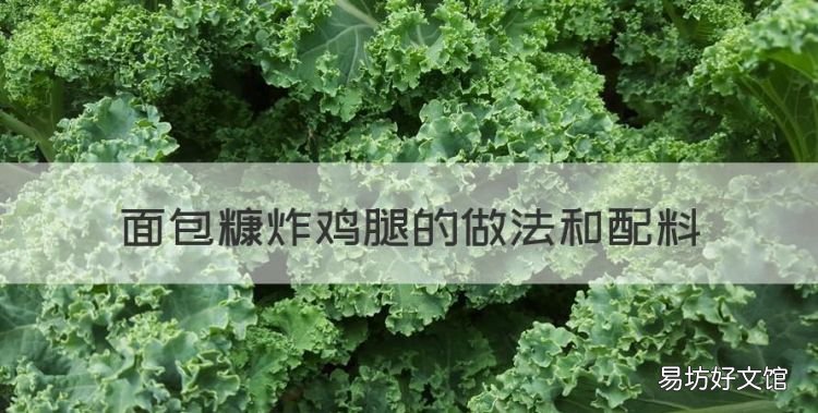 面包糠炸鸡腿的做法和配料,自制炸鸡腿的做法用面包糠