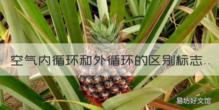空气内循环和外循环的区别标志,内循环和外循环的标志是什么样的