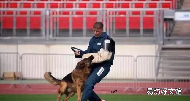k9是什么意思呢 k9是什么意思?
