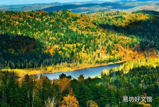 男人最大的魅力是什么