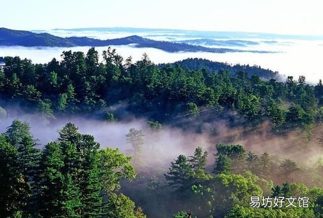 男人最大的魅力是什么