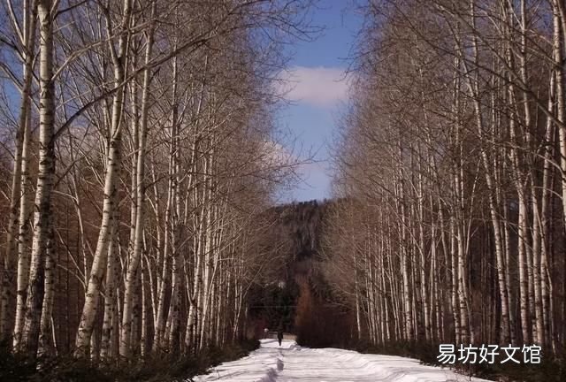 男人最大的魅力是什么