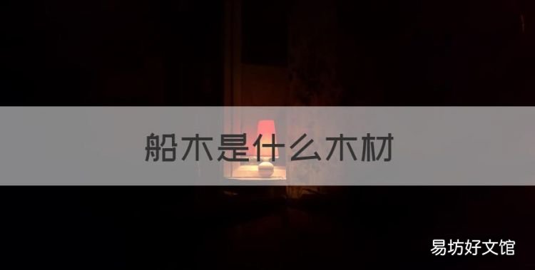 船木是什么木材