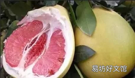 蜜柚的保质期有多长呢,福建红心蜜柚保质期多久