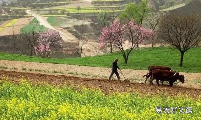 正月打雷是什么征兆,今年正月打雷,显明几个原因: