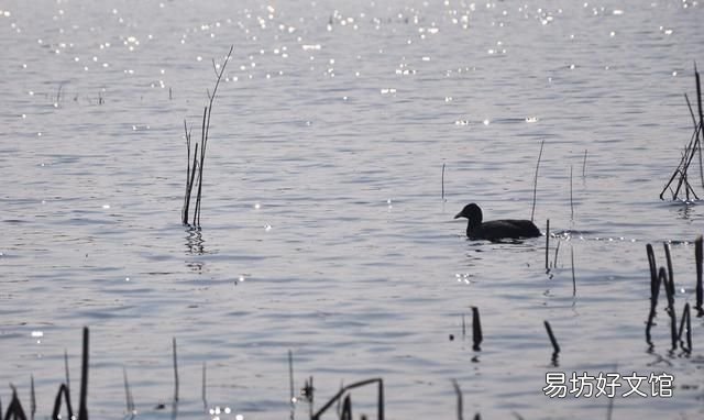 我国五大淡水湖，中国五大淡水湖,你都去过哪些地方