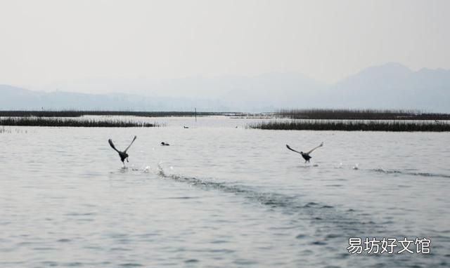 我国五大淡水湖，中国五大淡水湖,你都去过哪些地方