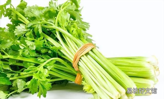 各种蔬菜的专家讲堂