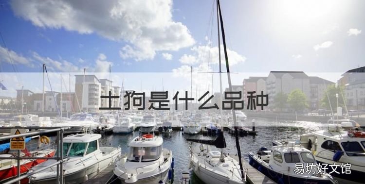 土狗是什么品种