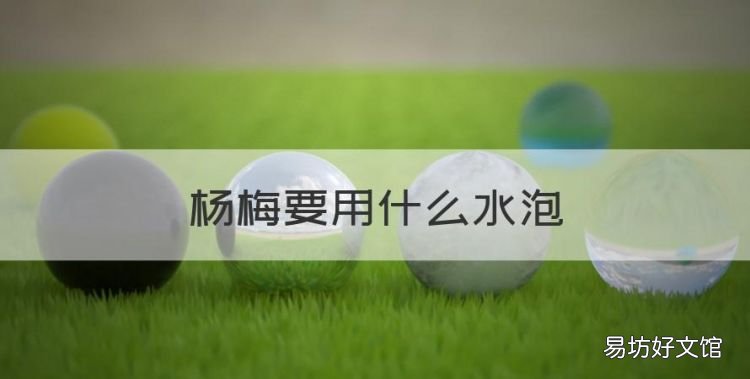 杨梅要用什么水泡,杨梅放盐还是放糖好吃