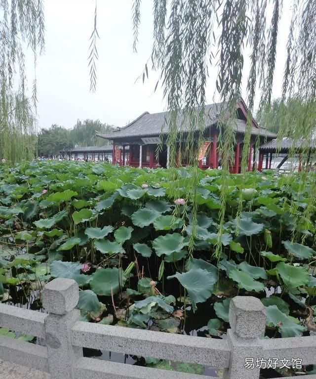 大明湖在哪里,大明湖收门票吗
