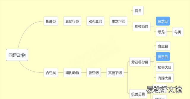 翼龙翅膀和蝙蝠翅膀有什么区别 蝙蝠的祖先是什么照片