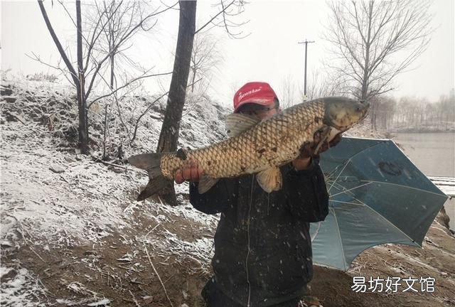 秋冬季钓鱼什么时候最佳,冬季钓鱼什么时间是最佳的
